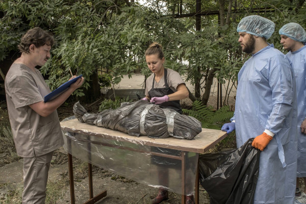 Morte de golfinho leva Ucrânia a acusar Rússia de ecocídio