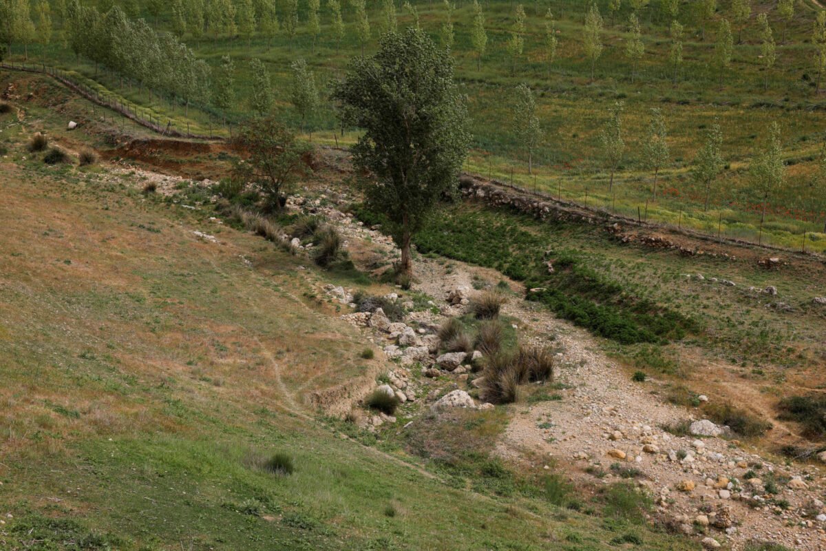Água se torna bem precioso na Europa em meio a