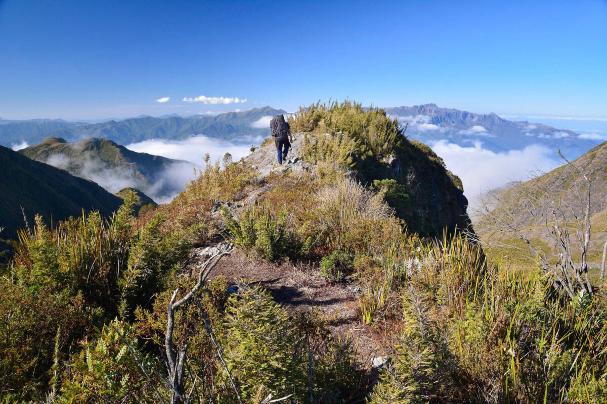 Começa hoje o 2° Congresso Brasileiro de Trilhas - 20/09/2023