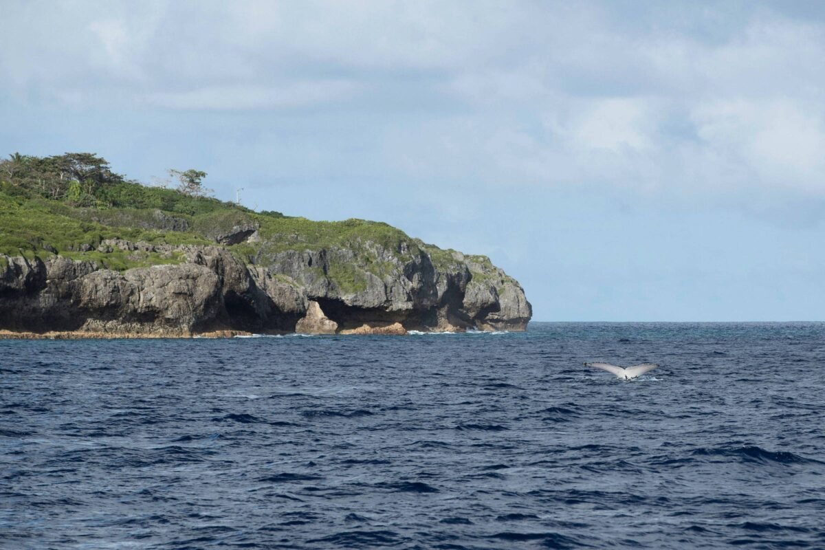 Ilha do Pacífico faz crowdfunding para proteger suas águas -
