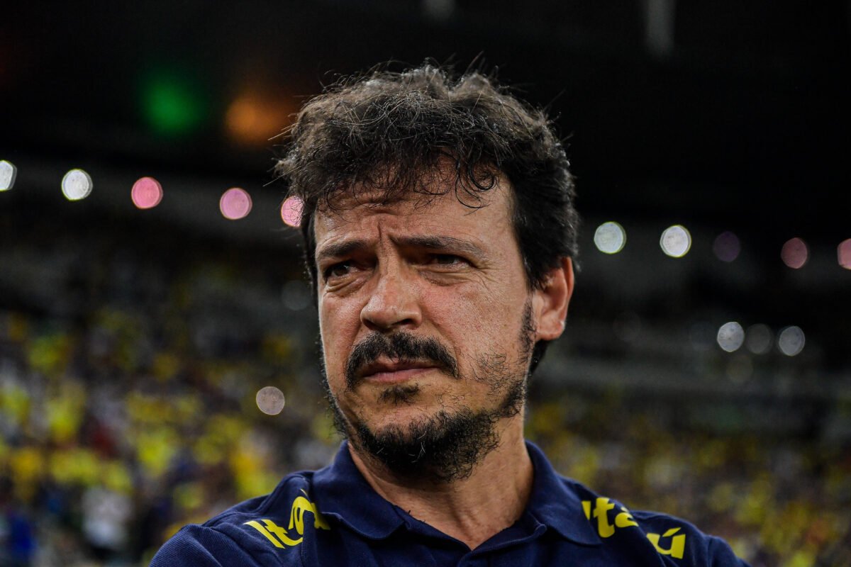 Fernando Diniz vê Brasil "mais perto da vitória"