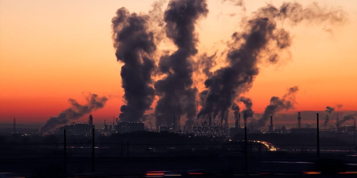 COP28 aprova Brasil como sede da Conferência do Clima de