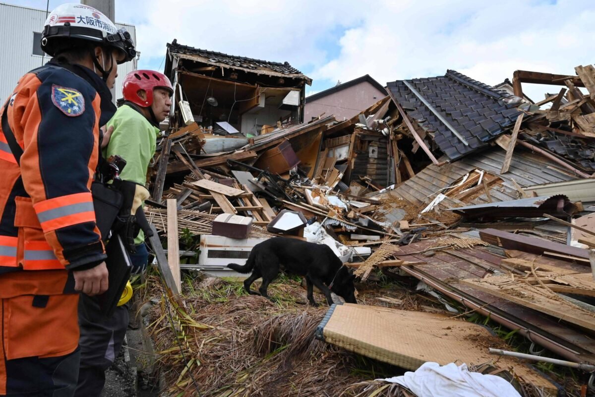 Terremoto no Japão: Cadela ajuda a encontrar sobreviventes - 05/01/2024