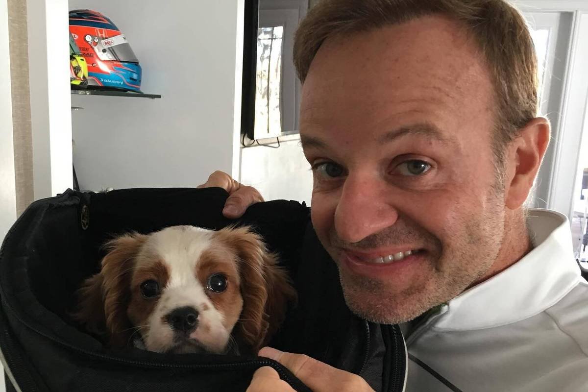 Cachorro de Rubinho Barrichello morre após comer bitucas - 23/02/2024