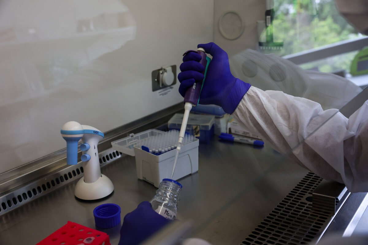 Pasteur em SP vai estudar minicérebros com zika vírus -