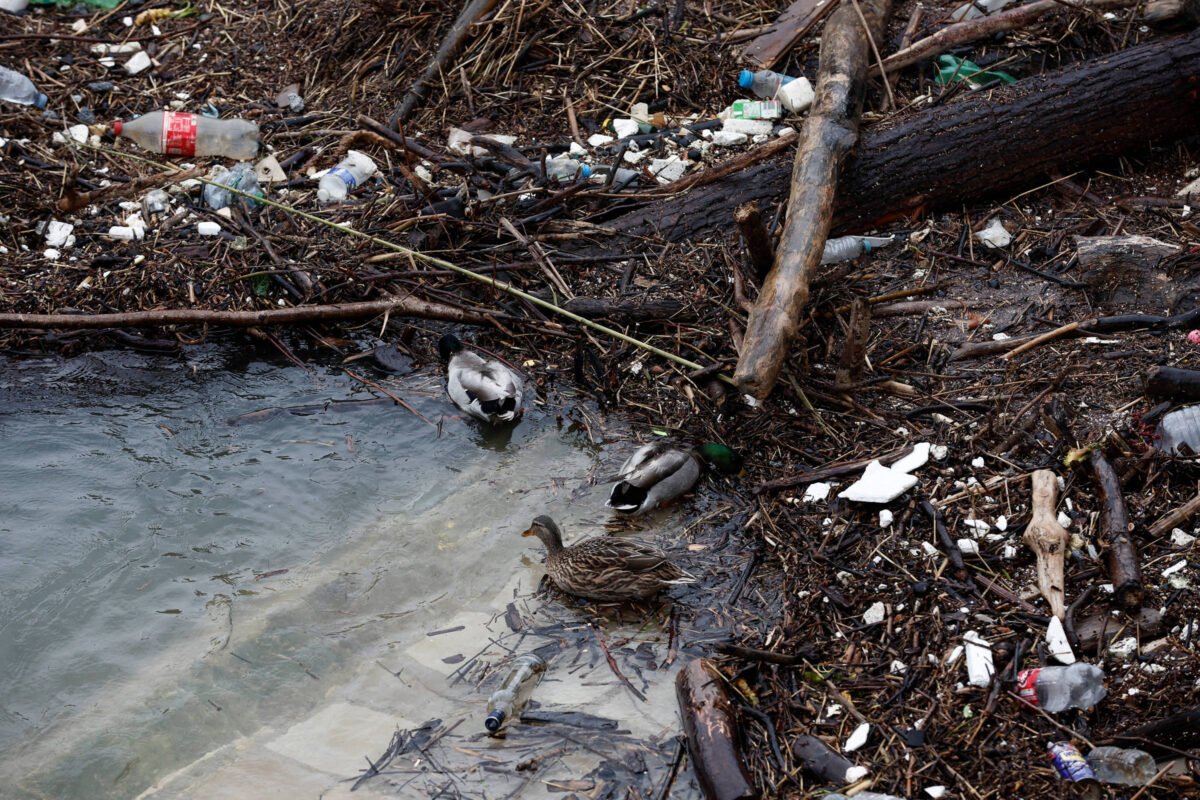 Paris-2024: ONG alerta para estado da água do rio Sena