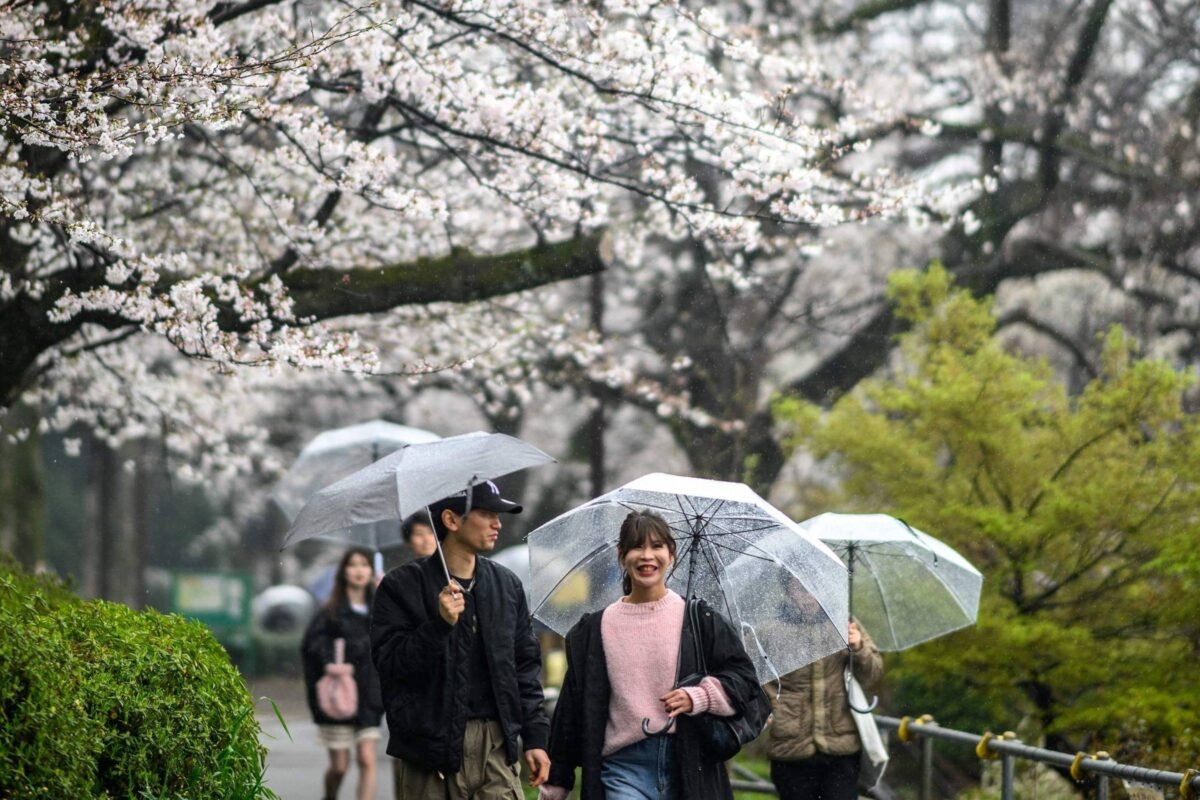 Pesquisa: Todos os japoneses vão se chamar 'Sato' em 2531