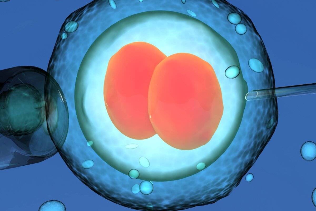 Vídeo: Hong Kong proíbe fertilização para homossexuais - 25/04/2024 -