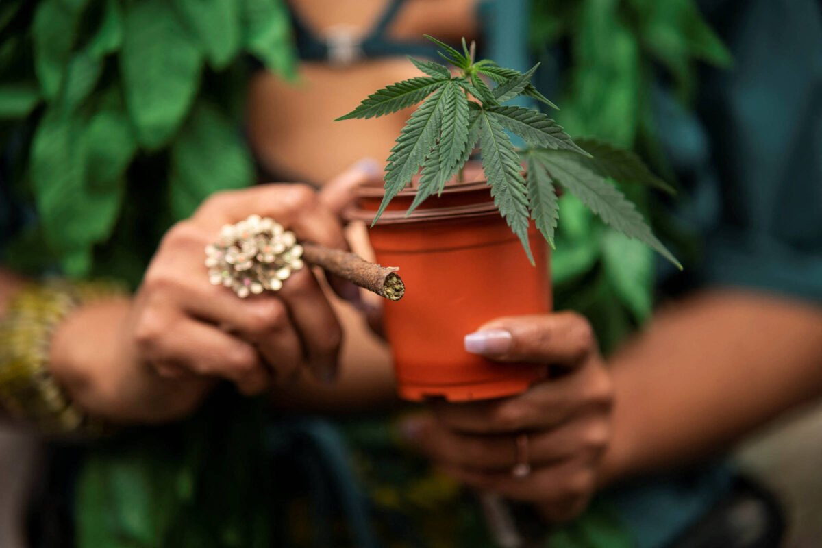 EUA pode reclassificar maconha como droga de baixo risco -