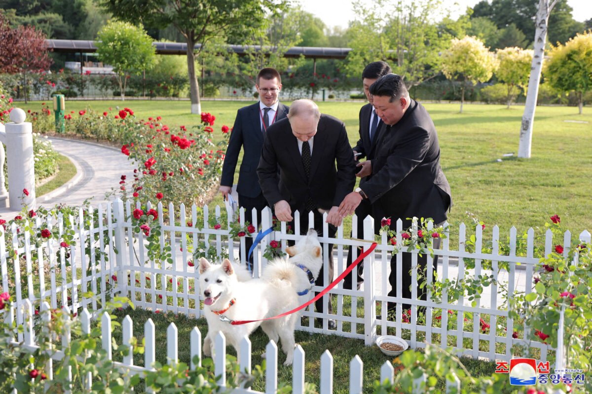 Kim presenteia Putin com par de cães; veja fotos -