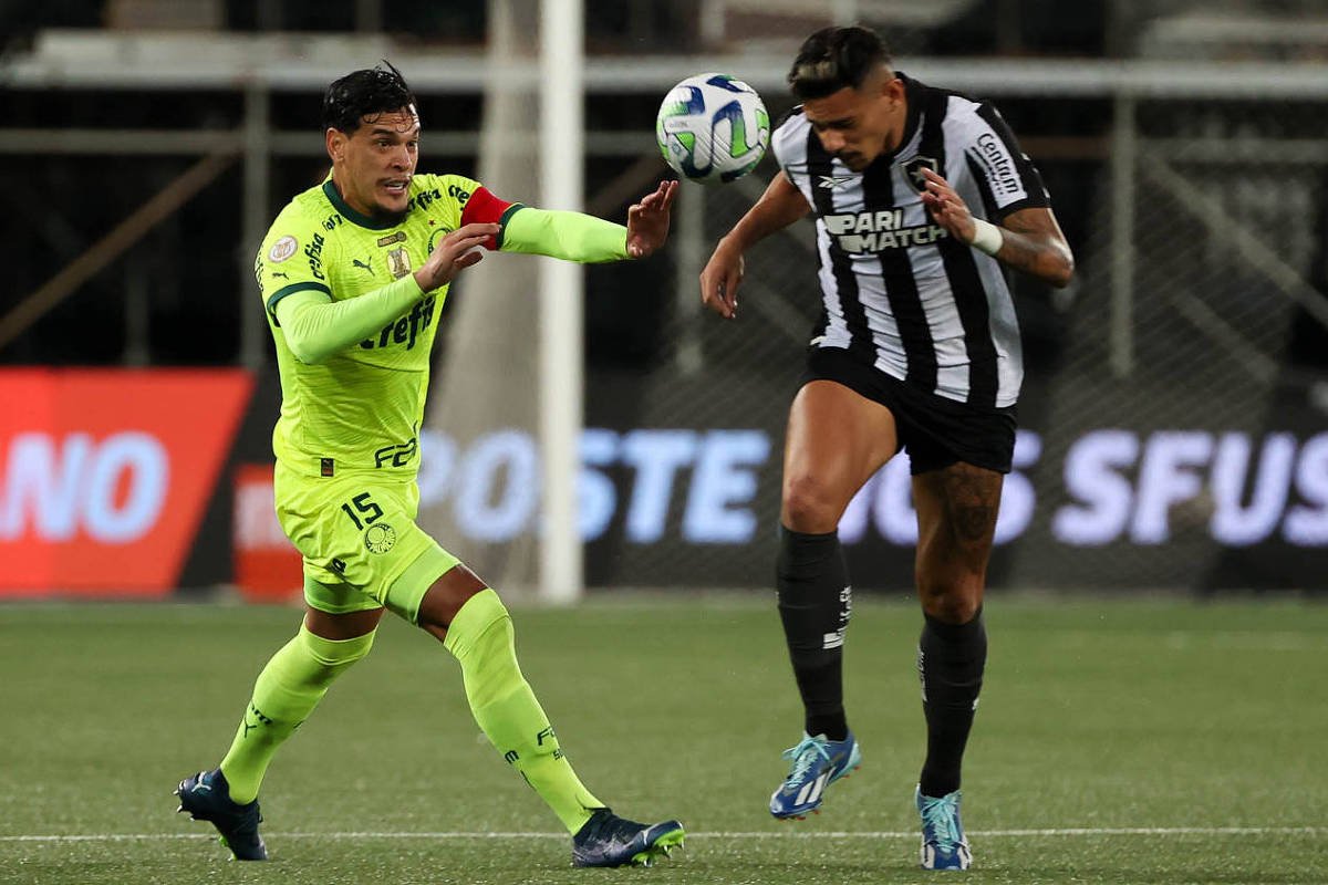 Botafogo x Palmeiras, o confronto do ano - 15/07/2024 -