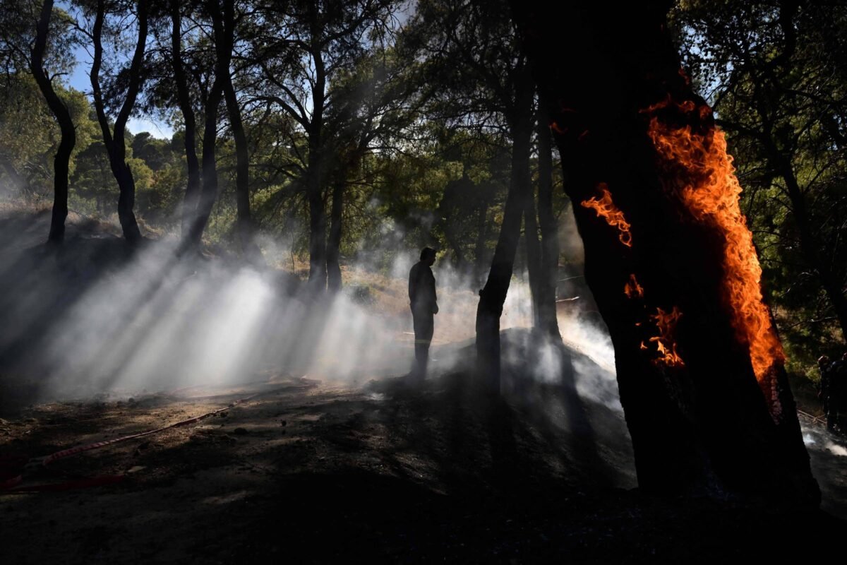 Europa é castigada por sucessivas ondas de calor - 17/07/2024