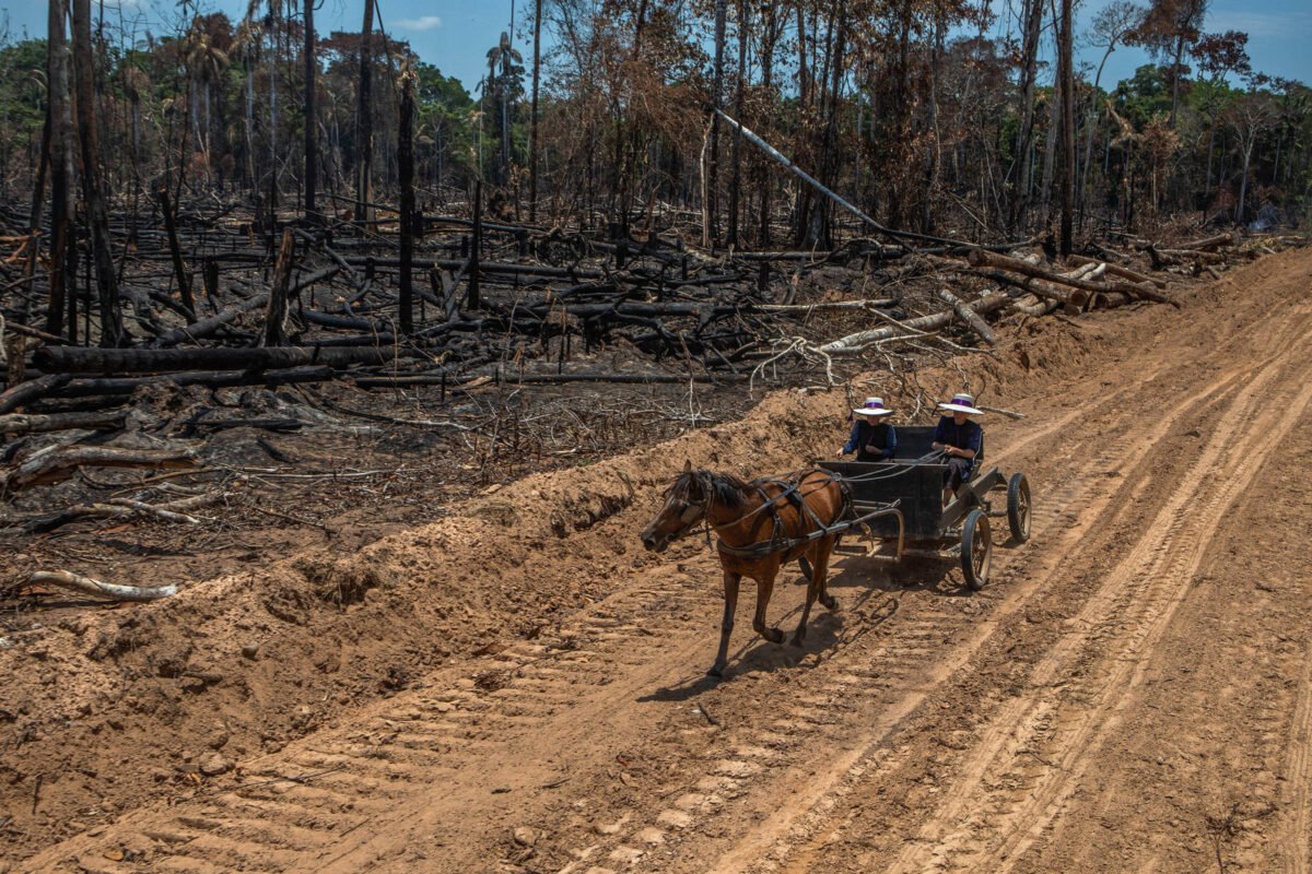 Conheça o grupo religioso fundando colônias na Amazônia - 23/08/2024