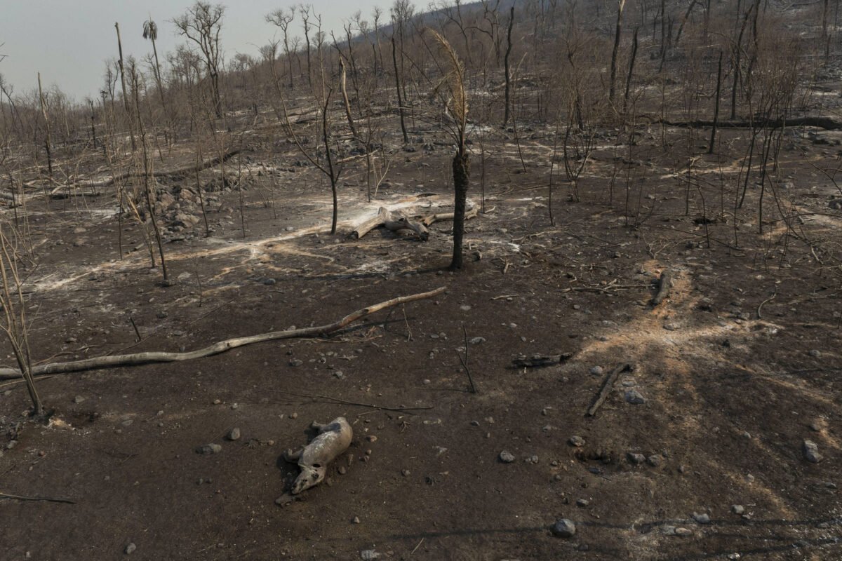 Desigualdade climática: um desastre nada natural - 07/08/2024 - Latinoamérica21