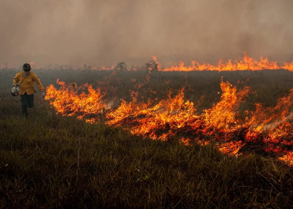 Brasil registra 673 focos de incêndio, quase 70% no Mato