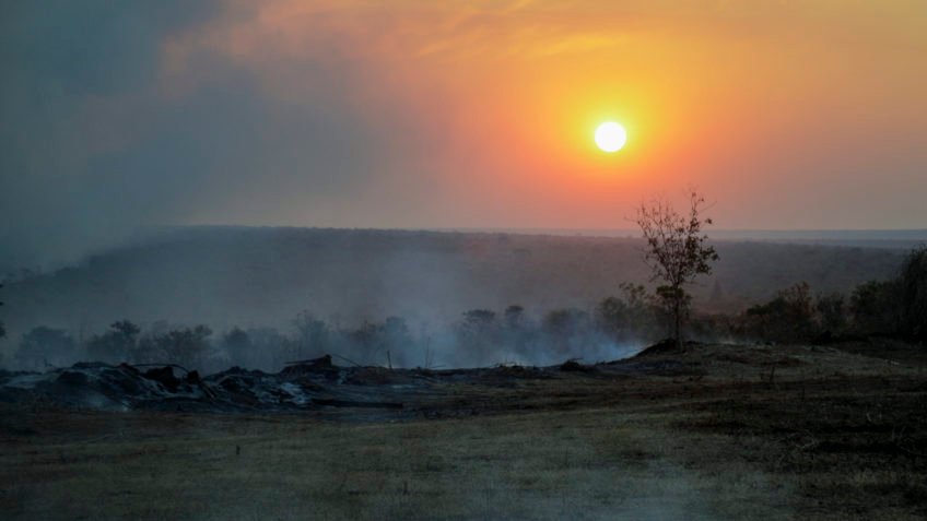 Veja fotos do incêndio no Parque Nacional de Brasília
