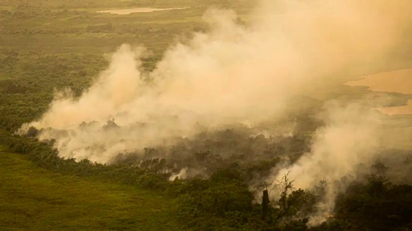 Brasil tem 1.454 focos de incêndio, sendo 60% na Amazônia