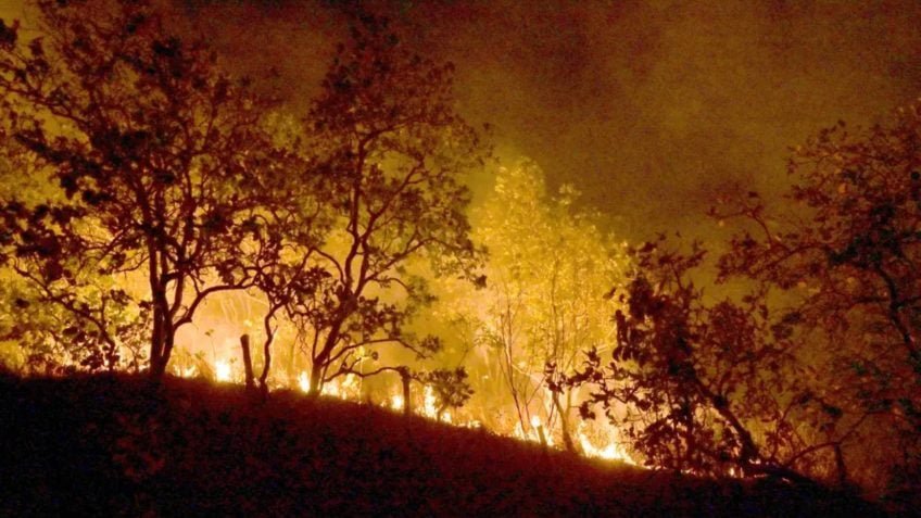 Brasil tem ﻿1.591 focos de incêndio, quase 60% na Amazônia
