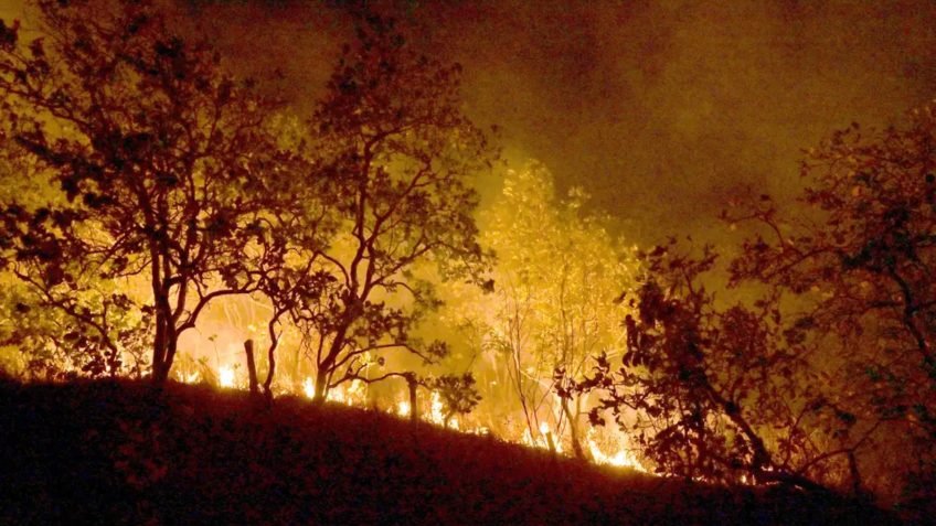 Brasil tem 988 focos de incêndio, sendo 60% na Amazônia