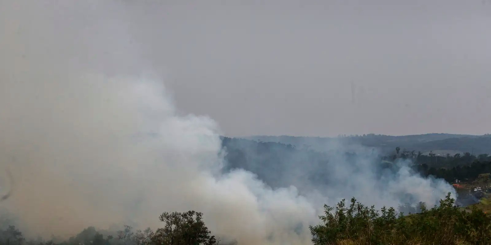 Dino cobra informações do governo de SP sobre combate às