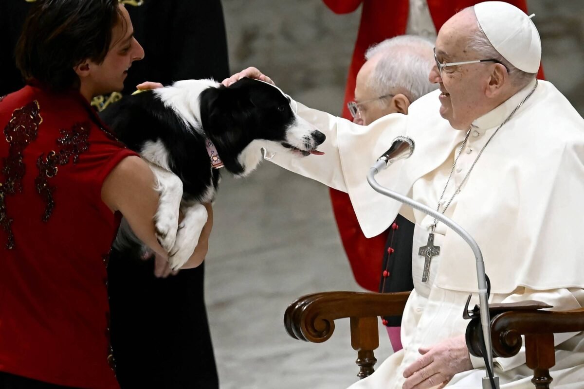Papa Francisco machuca braço após cair no Vaticano - 16/01/2025