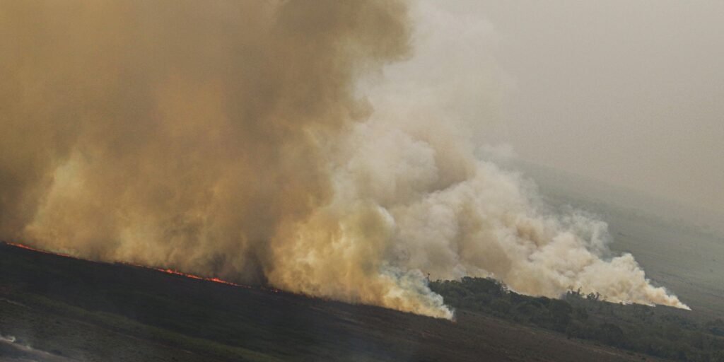 Dino homologa parcialmente plano anti-incêndios na Amazônia e Pantanal