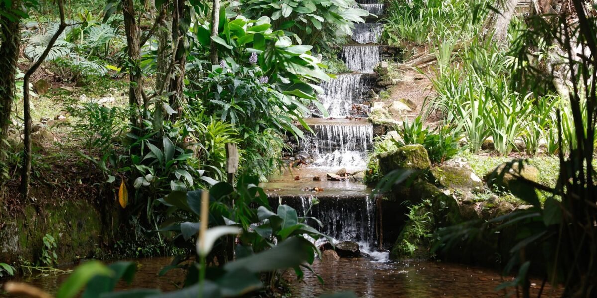 Sistema de água com mais de 200 anos abastece Jardim