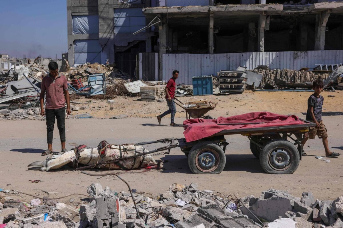 Ajuda liberada por Israel a Gaza é colherzinha, diz ONU