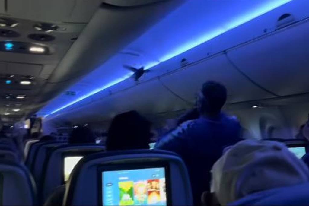 Dois pombos invadem avião nos Estados Unidos; veja vídeo -