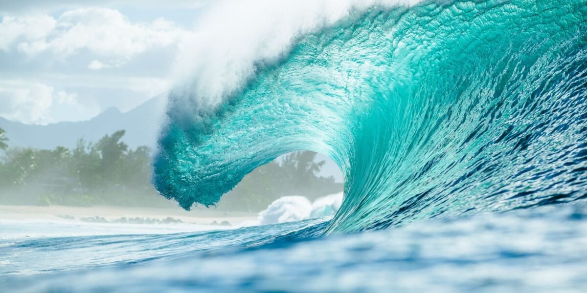 Pipeline volta a sediar a etapa final do Circuito Mundial