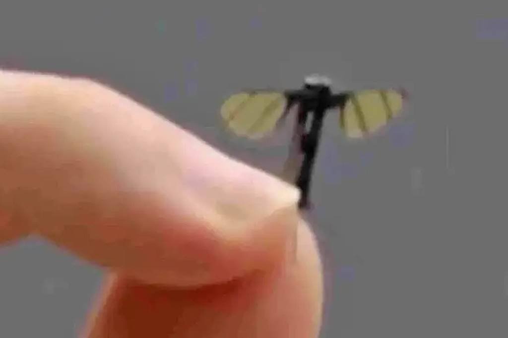 17512220906861874a21e9c_1751222090_3x2_lg.jpg