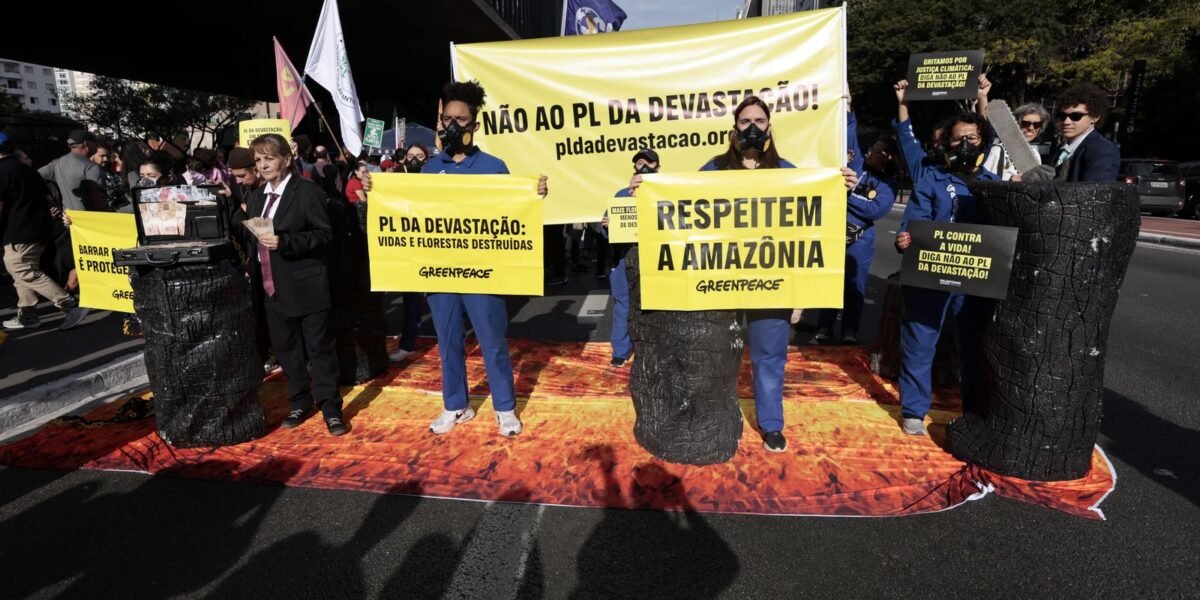 Manifestantes realizam protesto contra o PL da Devastação em São
