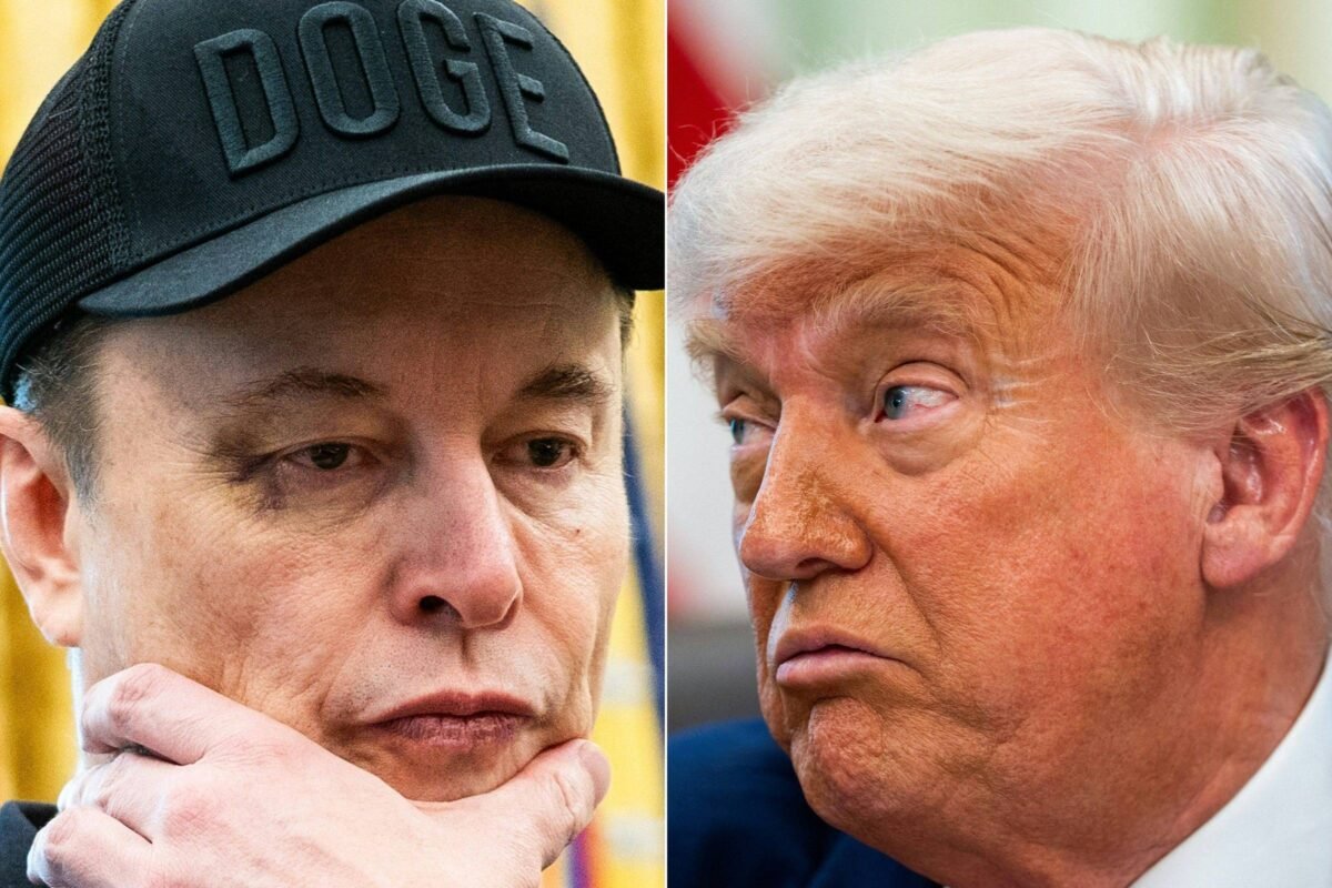 Musk x Trump: memes da briga entre bilionário e presidente
