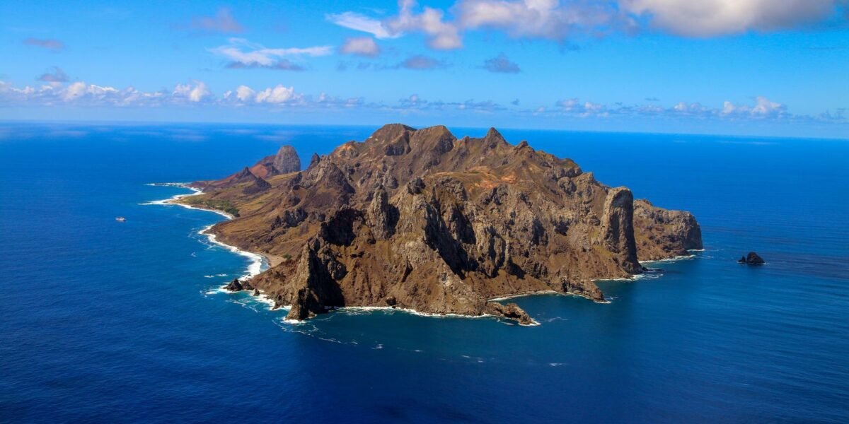Ilha capixaba aumenta flora nativa e é modelo de restauração