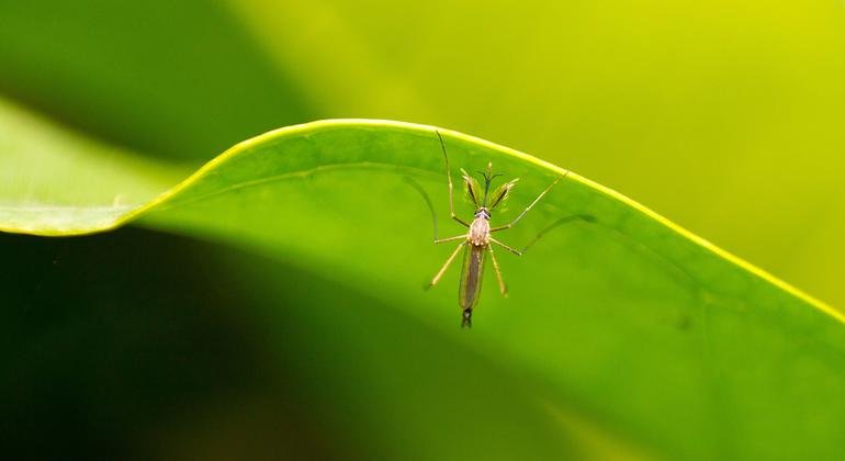 1755280442_image770x420cropped.jpg