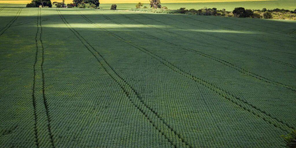 COP30: agro quer se posicionar como parte da solução, diz
