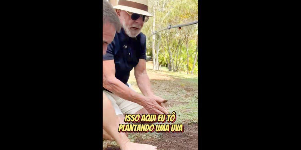 Em vídeo a Trump, Lula planta uva e diz semear