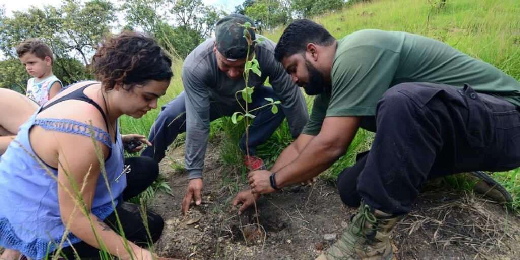Rio: mutirão na Serra do Vulcão promove ações climáticas da