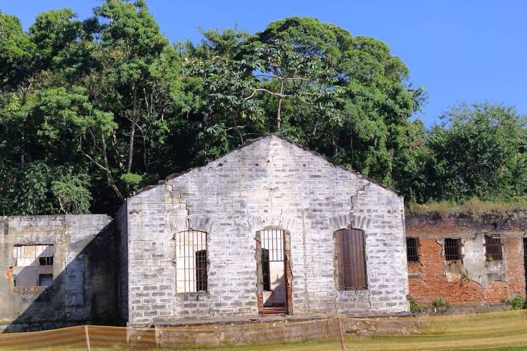 A morte trágica de imigrantes da Bessarábia no Brasil -