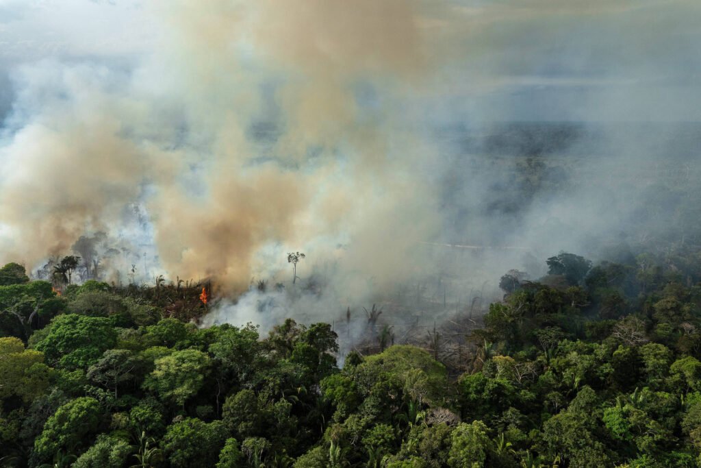 COP30: momento de agir pelos ativistas do meio ambiente -