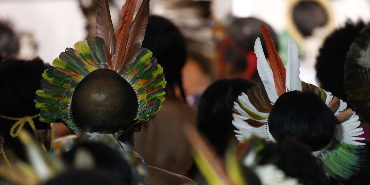 Demarcar terras dá segurança a quem protege o meio ambiente,