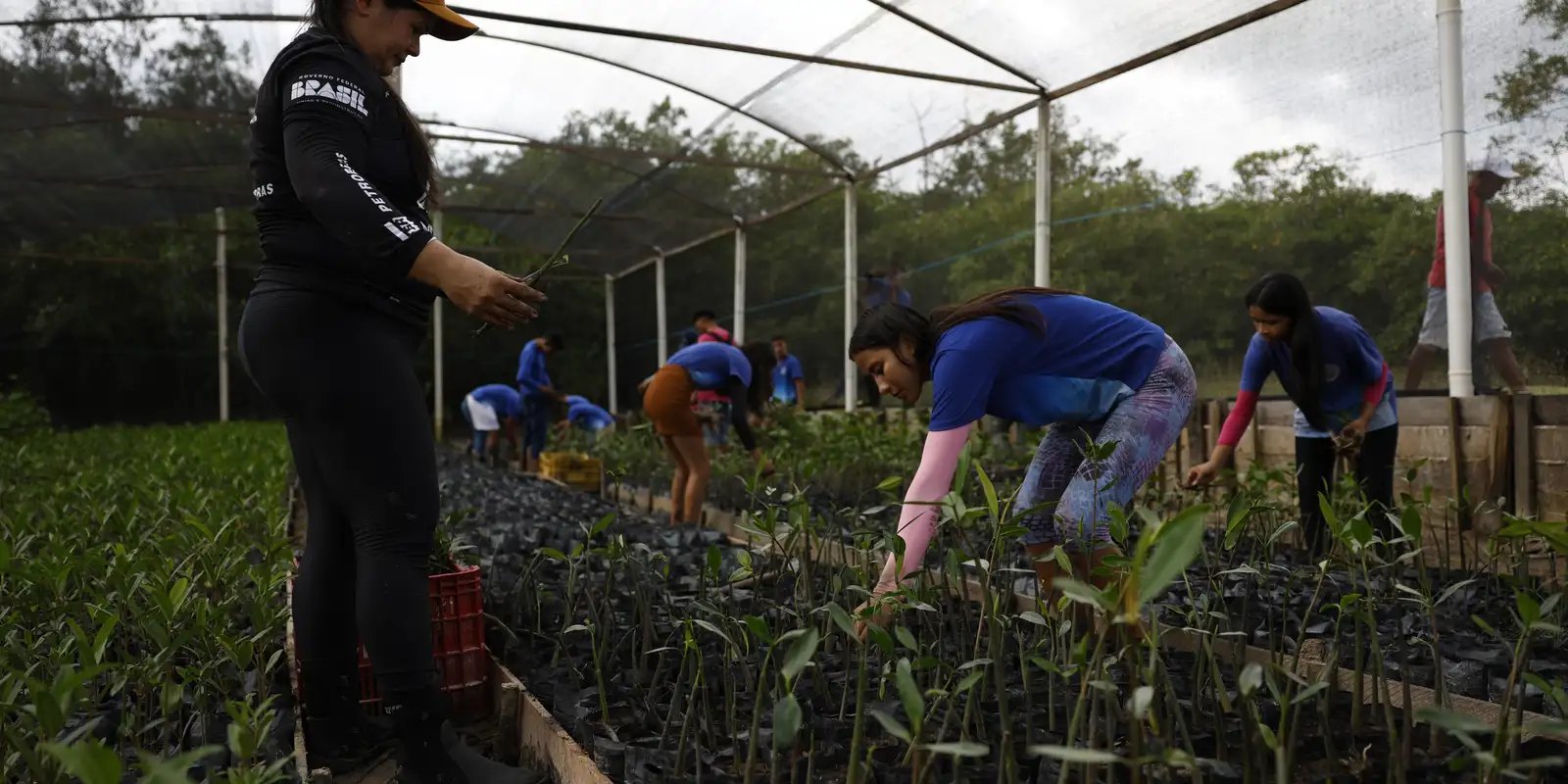 Governo fecha parceria para expandir energia renovável na Amazônia
