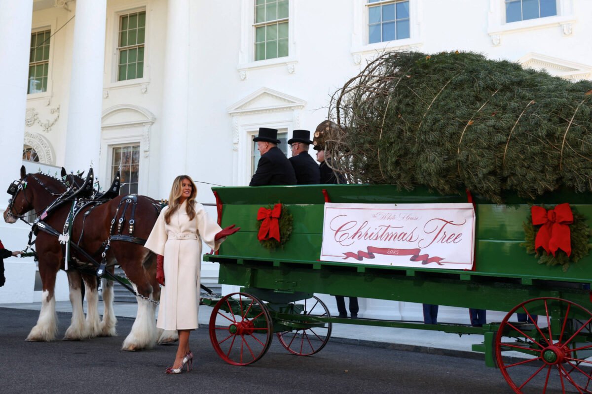 Melania Trump recebe árvore de Natal da Casa Branca -