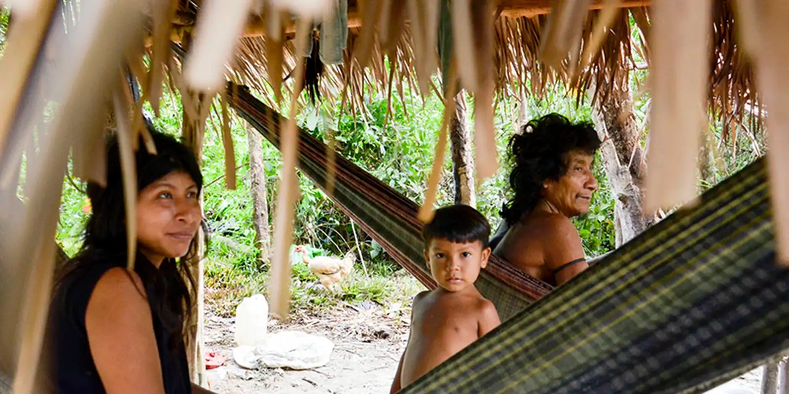 Brasil lidera número de povos isolados, mas há lacunas na