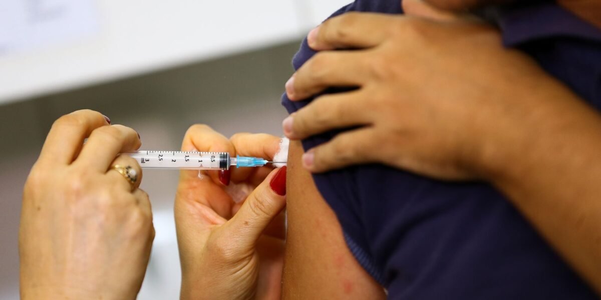 Em temporada de cruzeiros, São Paulo emite alerta para o