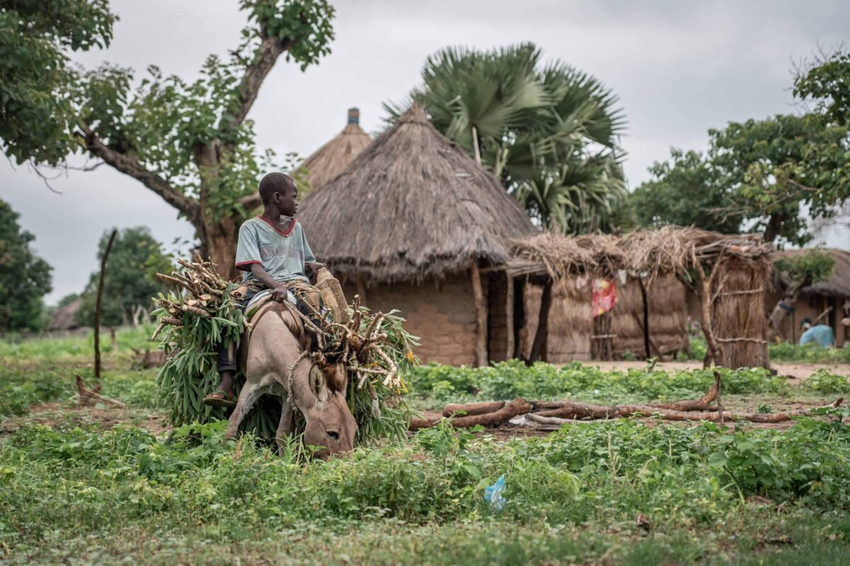 Regiões da África são mais solitárias do que países ricos