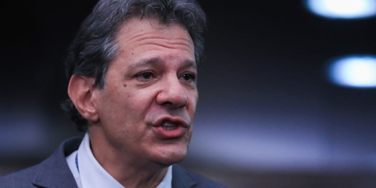 Haddad diz que STF deve lidar com impacto do Caso