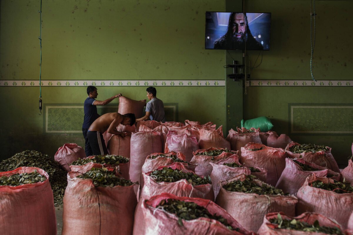 Retorno da DEA marca mudança vertiginosa na Bolívia - 24/01/2026