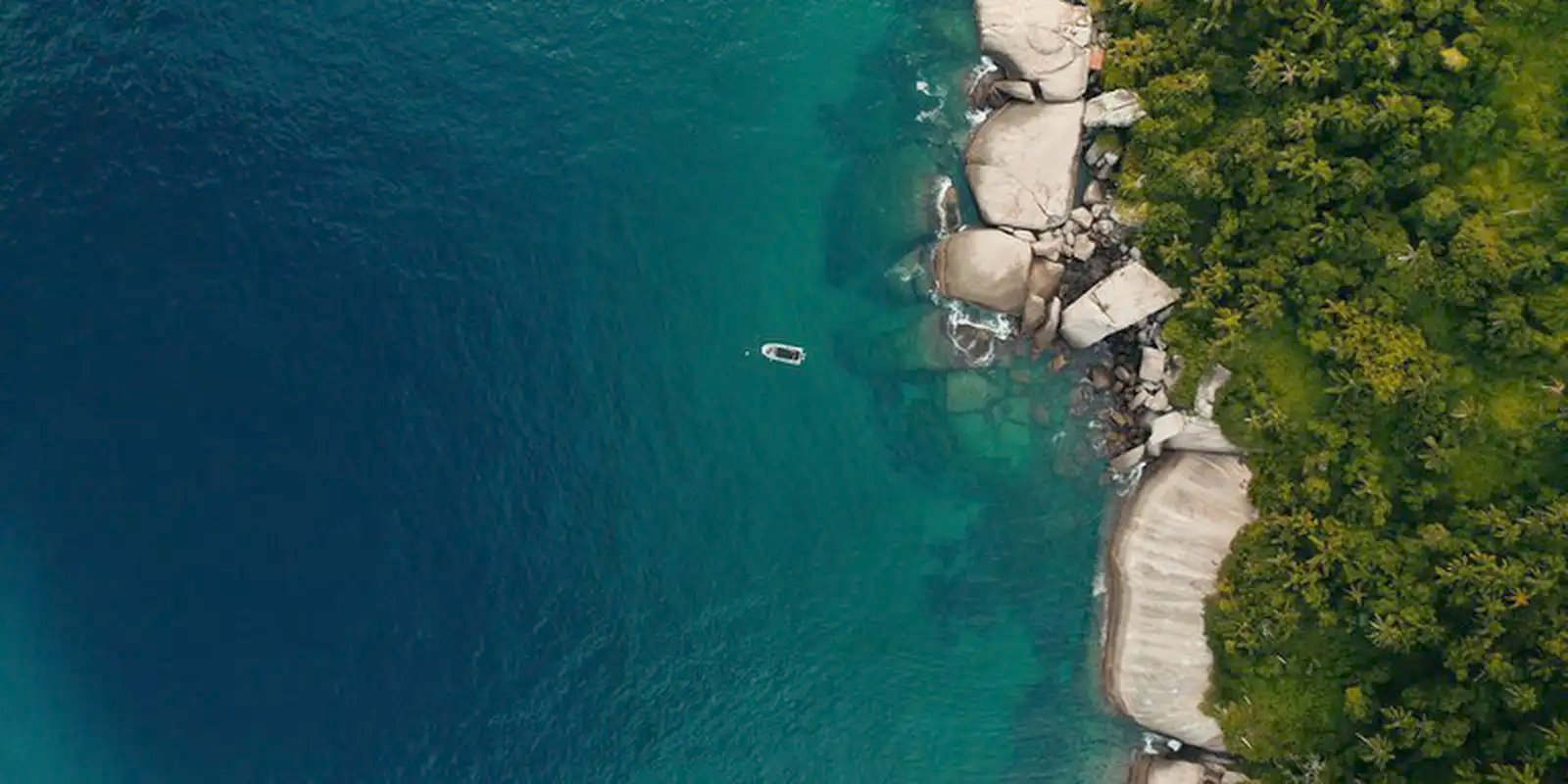 TV Brasil exibe documentário com iniciativas de preservação da costa