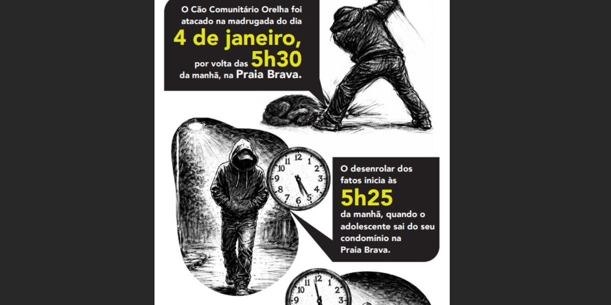 Cão Orelha: Polícia usa imagens e dados de celular para